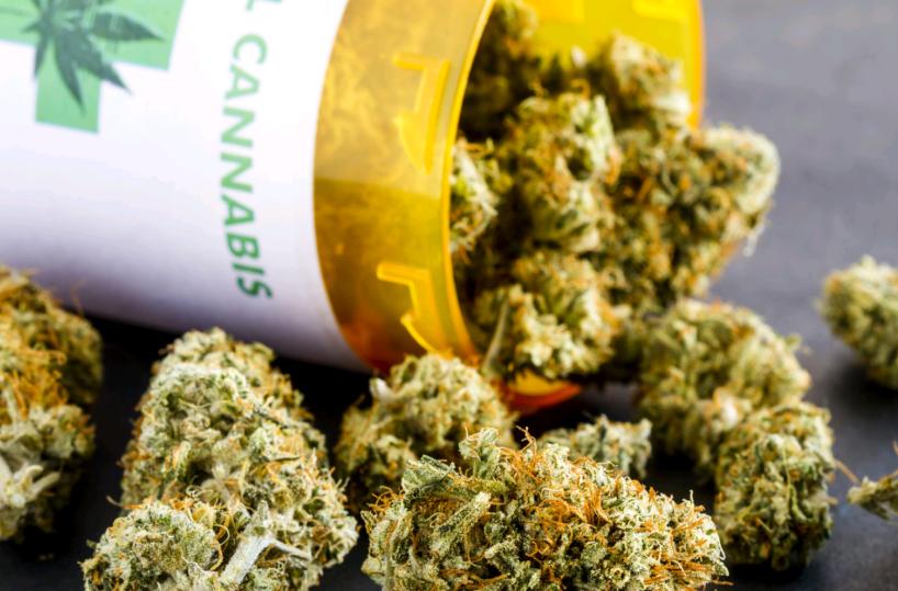 Cannabis terapeutica