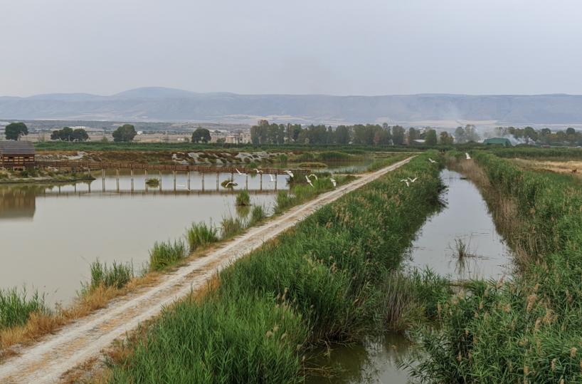 Manfredonia, pesca di frodo nell'Oasi Laguna del Re: 3 persone scoperte
