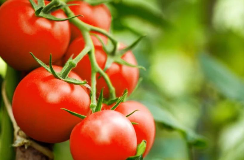 Le delizie di Puglia: «Orto del Paradiso»