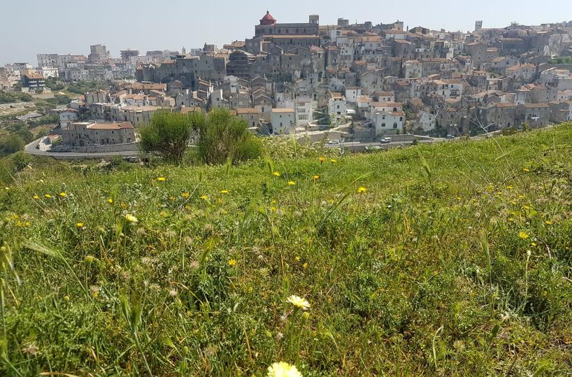 Vico del Gargano è tra i 5 borghi più belli d’Italia, il primo di tutto il Sud