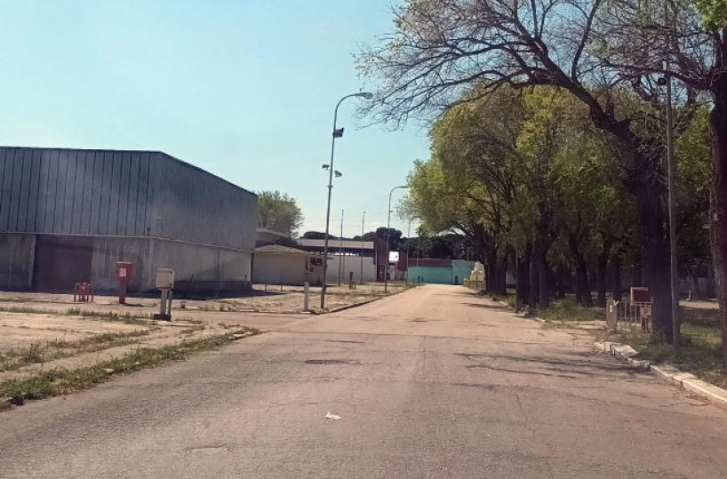 Foggia, salta la fiera dell'Agricoltura ma per il commissario non è finita