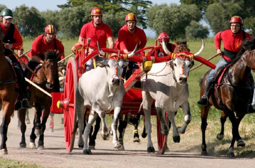 Chieuti, la corsa dei carri trainati dai buoi si farà, ma è polemica