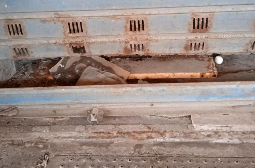 Bari, topi e ruggine al mercato di Santa Scolastica: è allarme