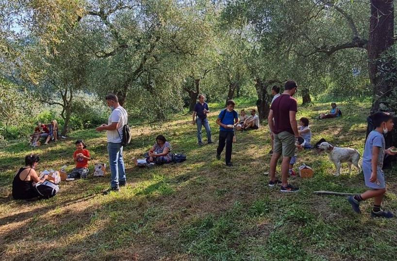 Merenda nell’Oliveta, Puglia protagonista con 9 "Città dell’Olio"