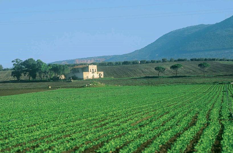 Basilicata, bando da 36 milioni per sviluppo aziende agricole