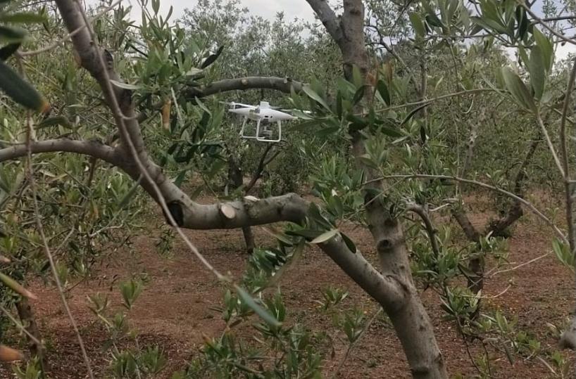 Coldiretti Puglia, rivoluzione digitale con droni nell'agricoltura