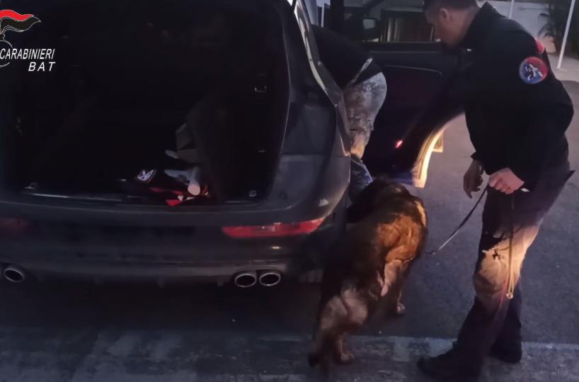 Vede i carabinieri e 16enne tenta di ingoiare la cocaina Arrestato un diciottenne
