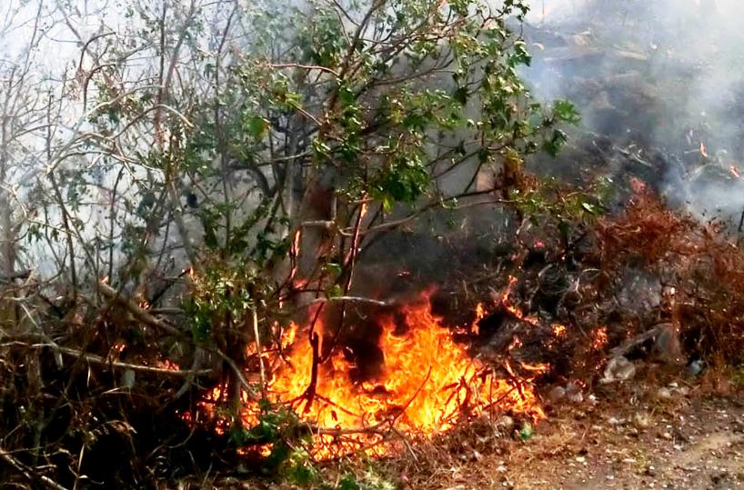 Casarano, anziano muore carbonizzato nel suo terreno mentre brucia sterpaglie