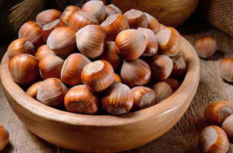 Patto agricoltura lucana-Nutella: pollai mobili per nocciole migliori