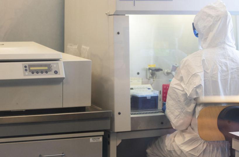 Vaiolo delle scimmie, in Italia identificato primo caso