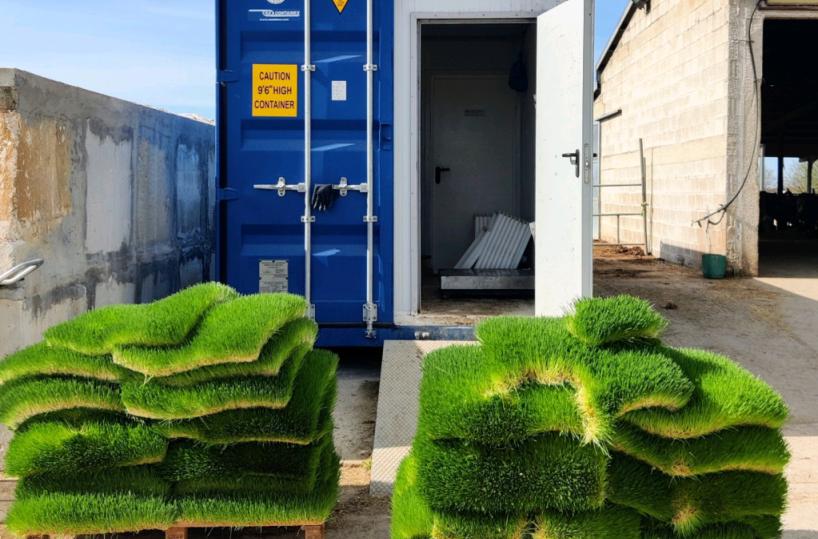 Dal riuso di acque reflue il foraggio per il bestiame: il primo progetto in Europa arriva da Bari