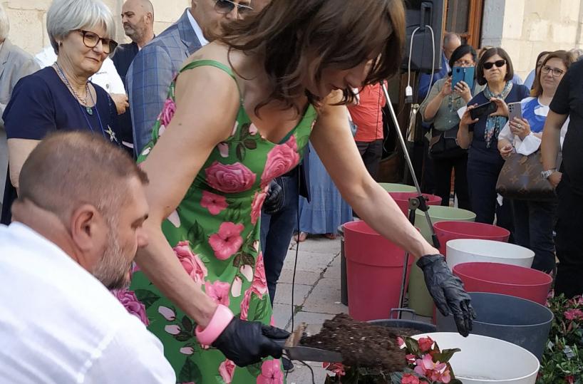 Lucera, fiori per abbellire balconi e terrazze: niente Tari per i primi 3 classificati