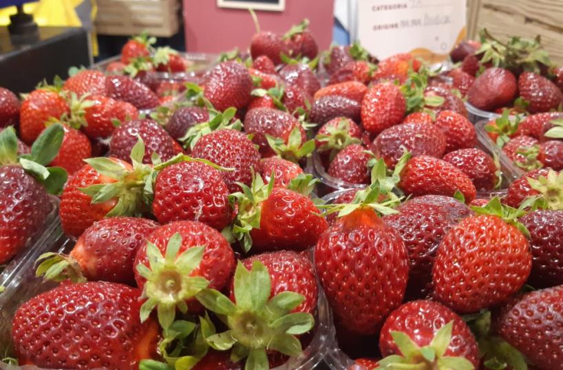 Puglia, fa troppo caldo: schizzano gli acquisti della frutta estiva, +25%