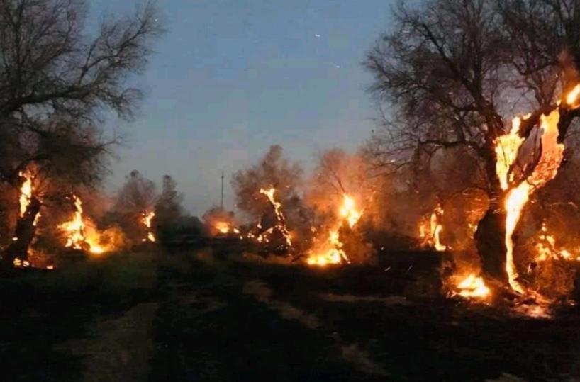 Il Salento agricolo trema: «Sarà un’estate di fuoco, si intervenga subito»