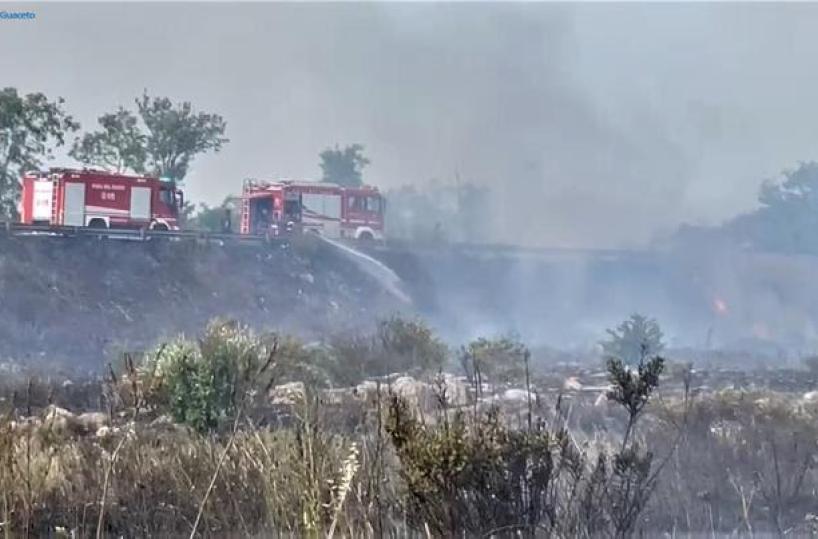 Torre Guaceto in fiamme, Arif e vigili del fuoco domano l'incendio