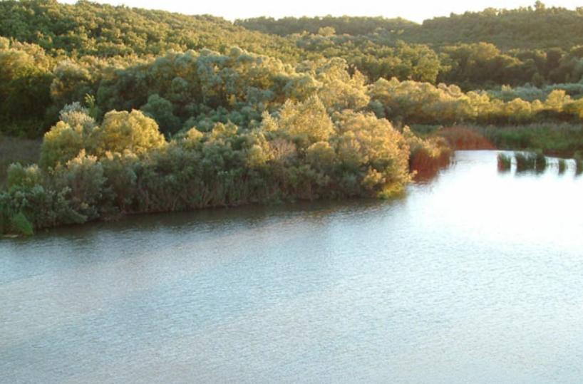 Invasi già semivuoti: ecco la siccità, allarme in Puglia