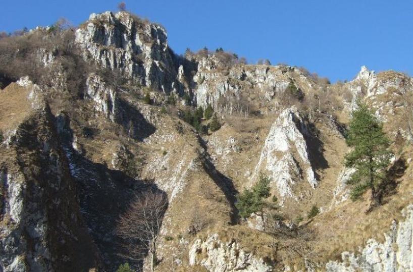 Bari, 4 escursionisti si perdono sulle montagne del Trevigiano: salvati