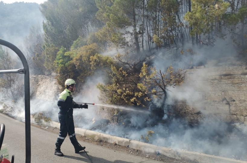 Il Gargano in fiamme, a fuoco 20 ettari di macchia mediterranea