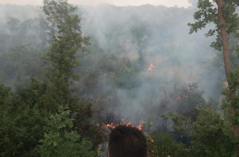 Incendio sterpaglie nella Bat: “Troppe segnalazioni ai Vigili del Fuoco, i Comuni si attivino”