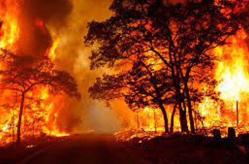 vigili del fuoco
