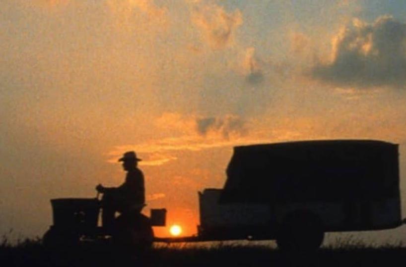 L’America di Lynch nel lungo viaggio del contadino Alvin