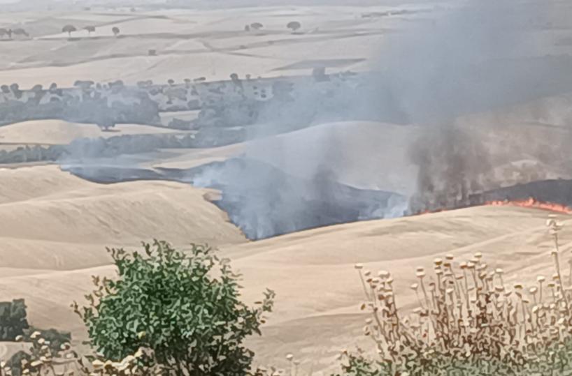 Incendi in Puglia e Basilicata: due morti. Una 72enne a Lizzanello e uno a Tricarico