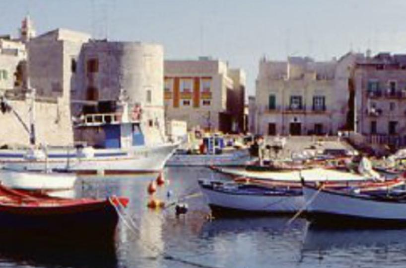 Pontili galleggianti a Giovinazzo, rimozione tra le polemiche 