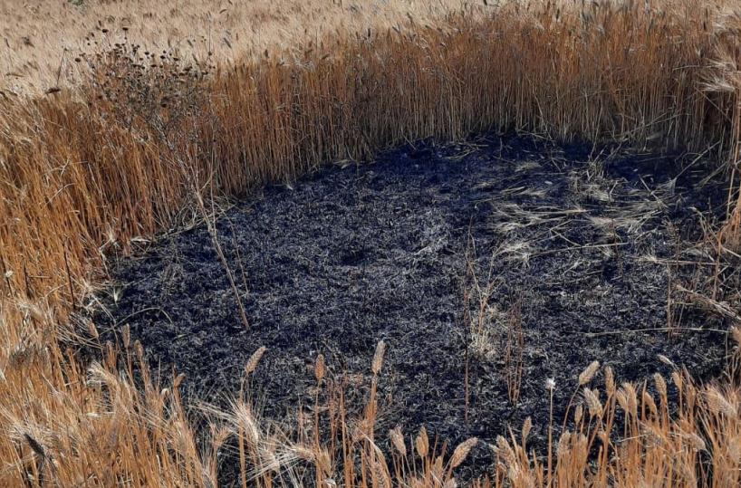 Minervino di Lecce: è caccia al piromane, i casi denunciati al Prefetto