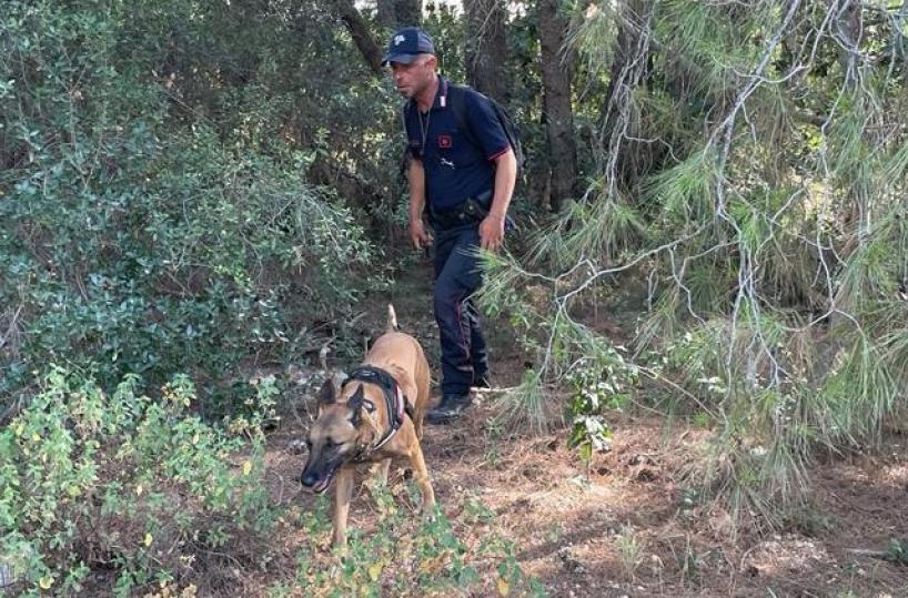 Castellaneta Marina, tolleranza zero dei Carabinieri dopo l'avvelenamento dei tre cani