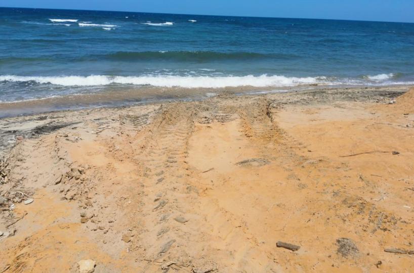 Brindisi, furti di sabbia sul litorale per riempire i lidi privati