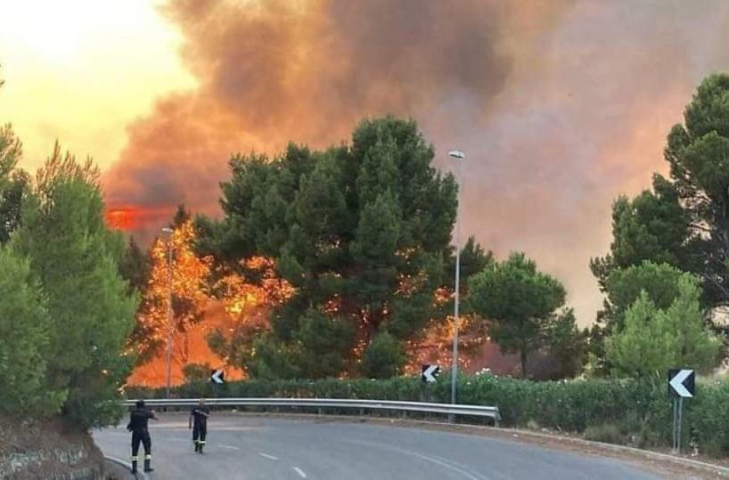 «L'emergenza incendi? Bisogna lavorare sulla prevenzione umana»