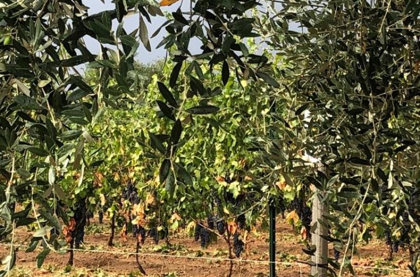 Maltempo in Puglia, a rischio smottamenti e frane ben 230 comuni 
