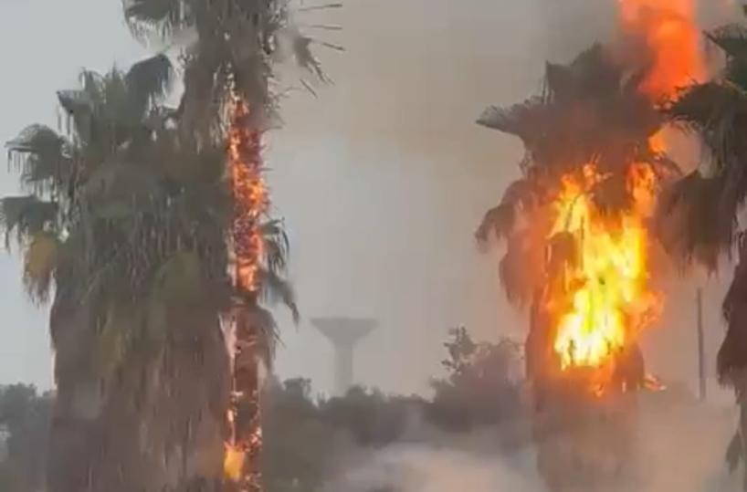 Temporali in Puglia, a Francavilla Fontana fulmine incendia alcune palme