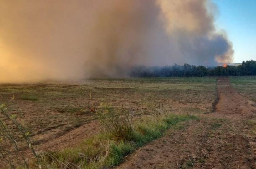 Brindisi, a fuoco alberi e canneto alle Saline: lunghe colonne di fumo