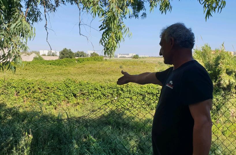  Arneo fantasma, tranne che per battere cassa