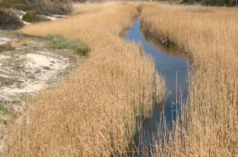 In mezzo scorreva il fiume «Ostone»