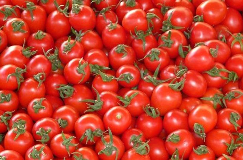 &laquo;Meno disponibilit&agrave; e prezzi spaventosi&raquo;, l&rsquo;emergenza fertilizzanti non d&agrave; tregua 