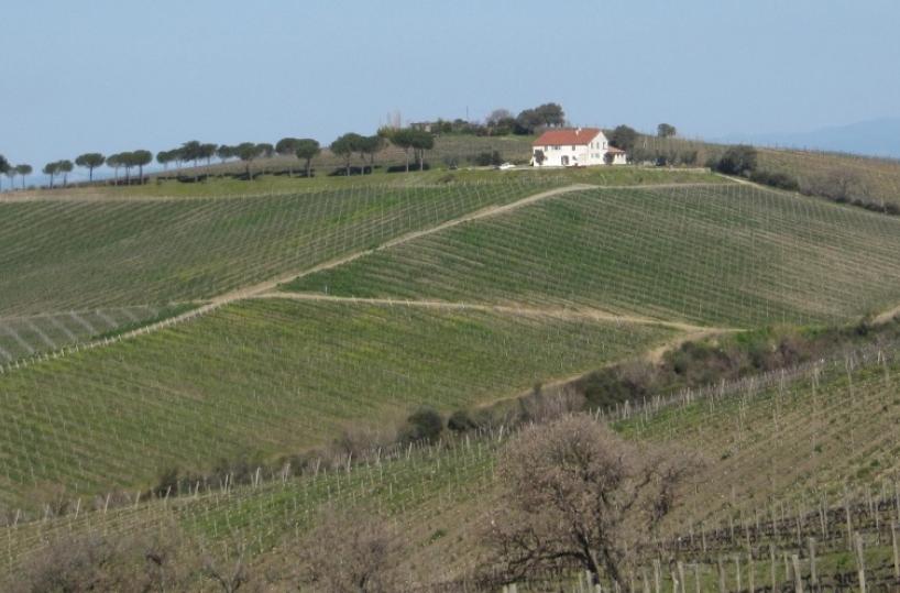 «Rincari, il futuro dell'aziende agricole pugliesi è a rischio»