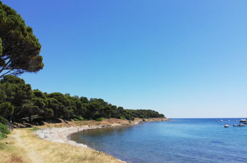 Qui Punta Licosa è pura essenzialità