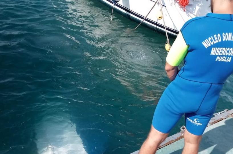 Recuperata dopo due giorni la barca affondata nel Porto di Giovinazzo
