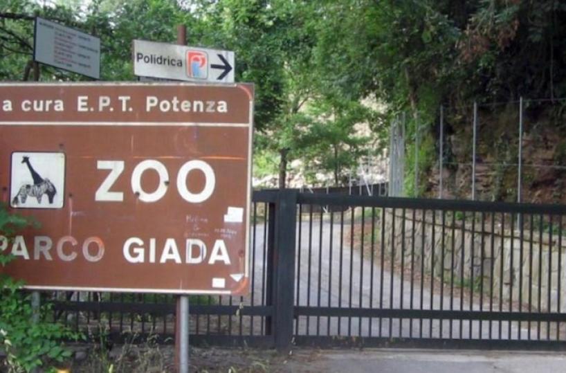Parco Giada nell’oblìo con i suoi 147 animali