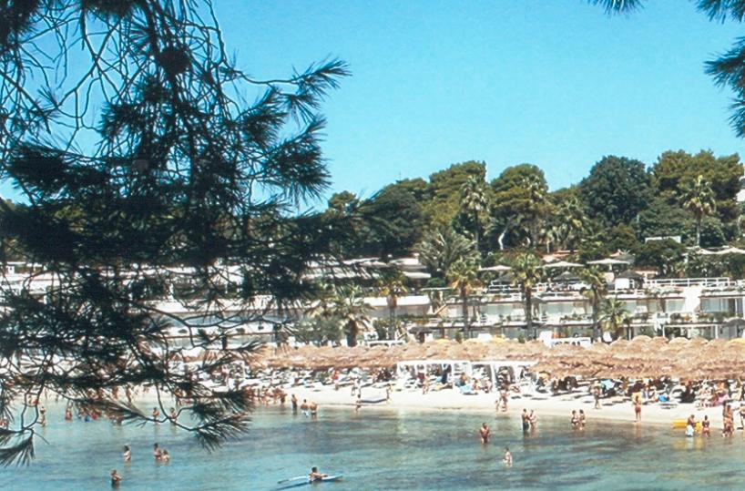 Ma in questa pazza estate sudati e sgasati possiamo perfino rinascere