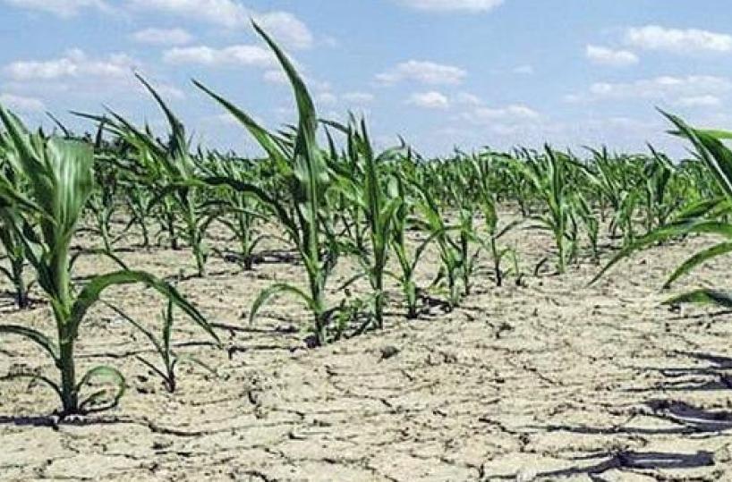 «Erogazione idrica irregolare da San Giuliano, campagne del Tarantino a secco»