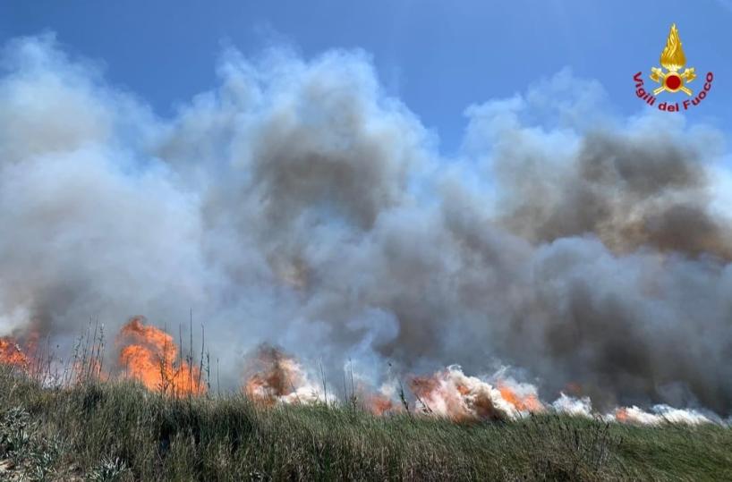 Brindisi, brucia il parco della Salina di Punta della Contessa