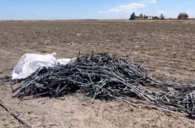 Foggia: quegli omicidi senza un colpevole