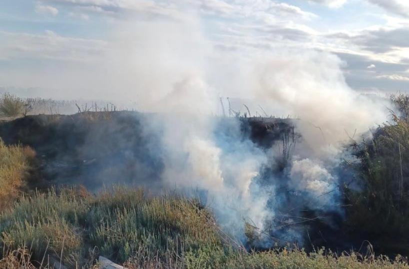 Brindisi, divieti e obblighi per prevenire gli incendi