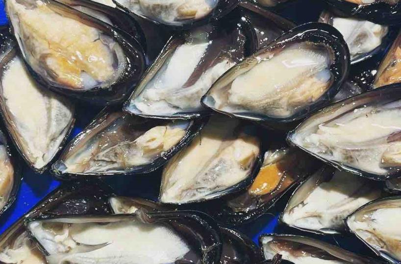 «Ego Festival», Taranto celebra la «regina» cozza