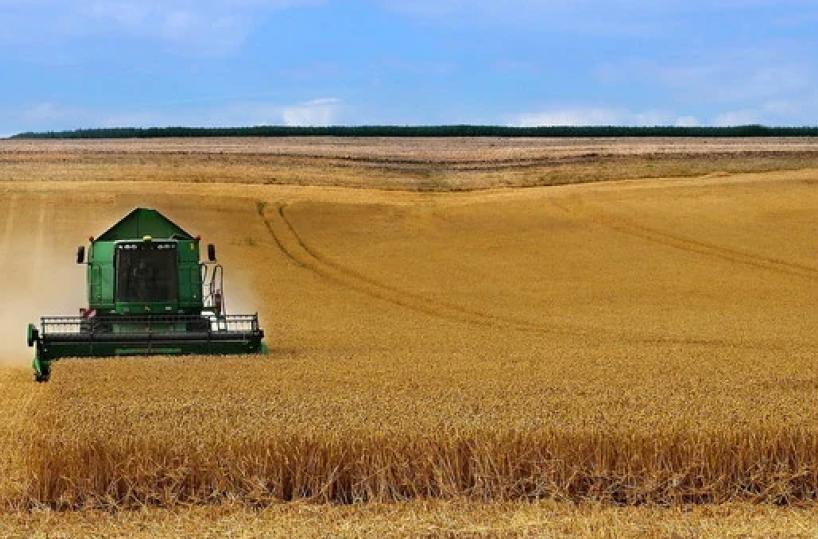 La roulette russa del grano duro, Cia Puglia: «Così salta la filiera»