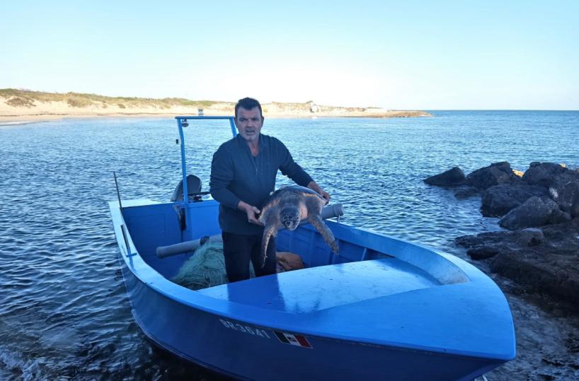 Torre Guaceto, tartaruga impigliata in rete per allevamento cozze: salvata