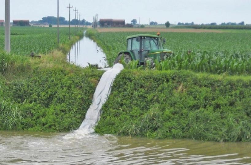Puglia, appalti truccati Consorzio bonifica: Cassazione ordina riesame interdizione Borzillo (resta sospeso)